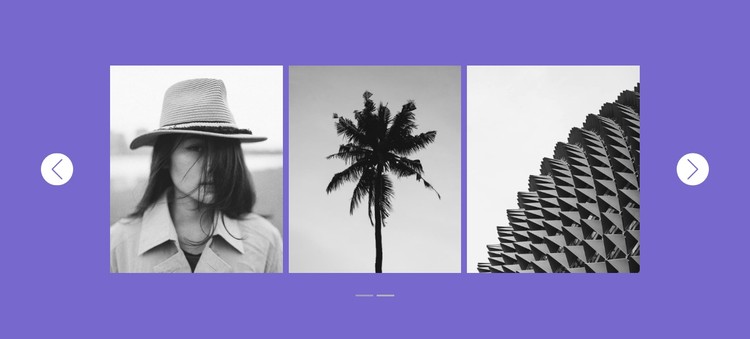 Our gallery in slider CSS Template