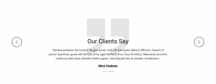 What our client say WordPress Website Builder