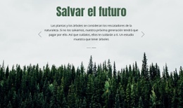 Salvar El Futuro - HTML Website Maker