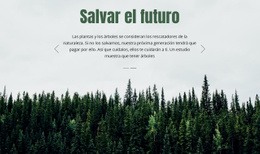 Salvar El Futuro - Diseño De Sitios Web Profesionales