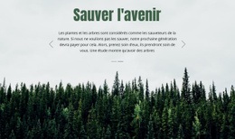 Sauver L'Avenir - Conception De Sites Web Professionnels