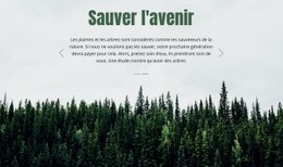 Sauver L'Avenir - Modèle HTML5 Réactif