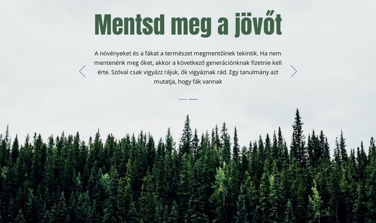 Mentsd meg a jövőt Weboldal tervezés