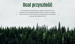 Ocal Przyszłość - Prosty Motyw WordPress