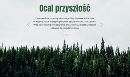 Ocal Przyszłość - Najlepszy Szablon Joomla