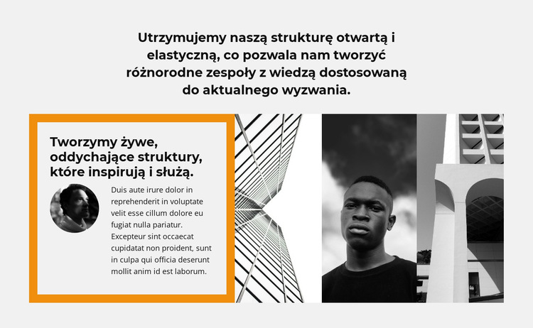 Zapytaj profesjonalistę Szablon witryny sieci Web