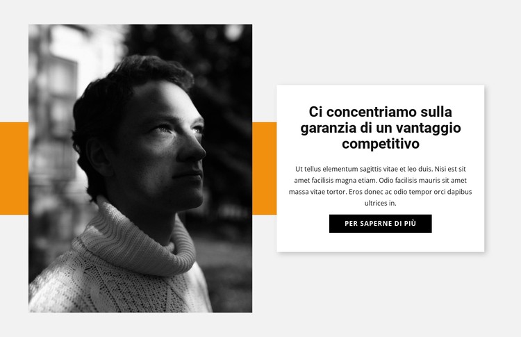 Designer sul lavoro Modello CSS