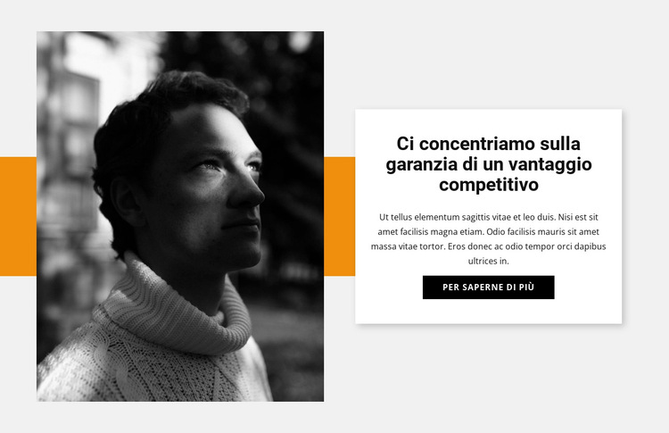 Designer sul lavoro Modello di sito Web