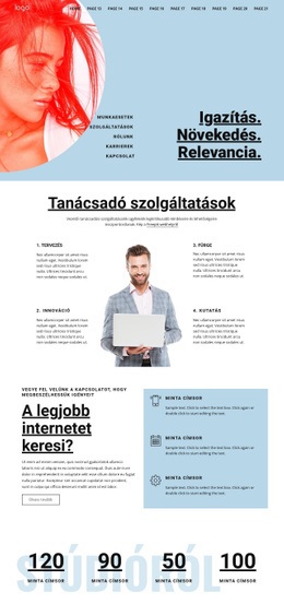 Tanácsadó Üzleti Szolgáltatások - HTML Oldalsablon