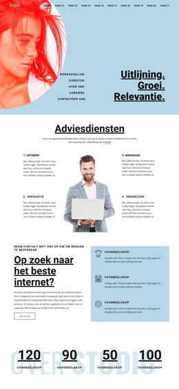 Consulting Zakelijke Diensten - Beste Gratis WordPress-Thema