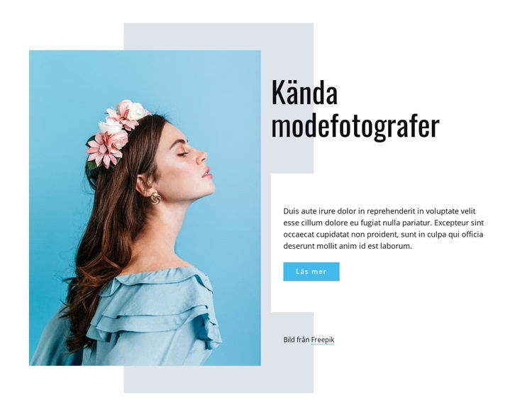 Kända modefotografer CSS -mall