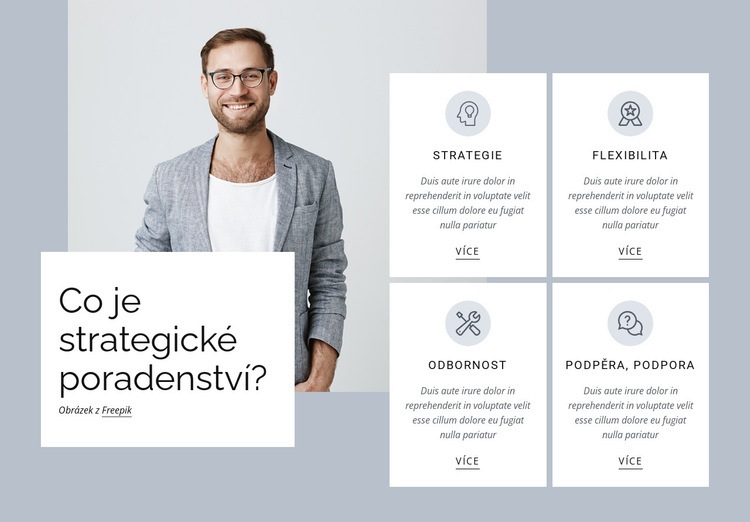 Strategické poradenství Téma WordPress