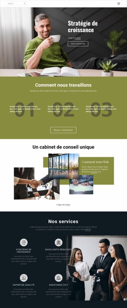 Droit des affaires Maquettes de sites Web