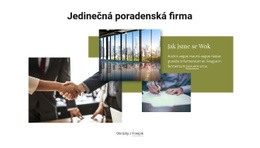 Jedinečná Poradenská Firma – Responzivní Téma WordPress