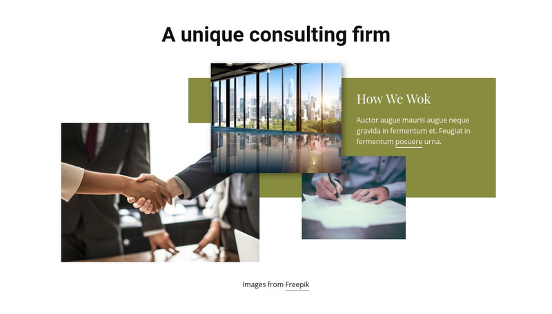 A unique consulting firm Web Page Design