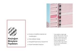 Yurt Alanı İçin En İyi Web Sitesi