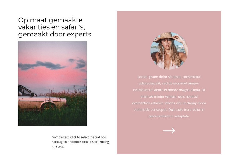 Zonsonderganglandschap Website mockup