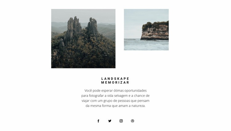 Contatos sociais da agência de viagens Landing Page