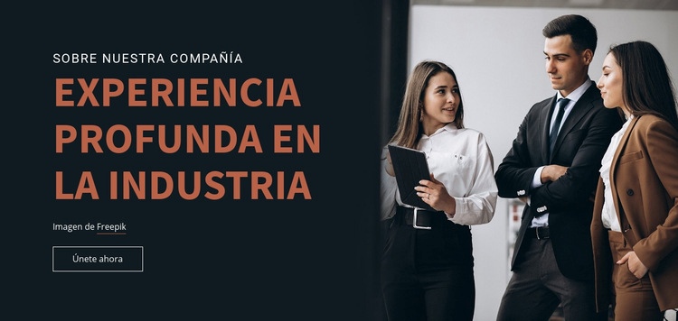 Experiencia en la industria Diseño de páginas web