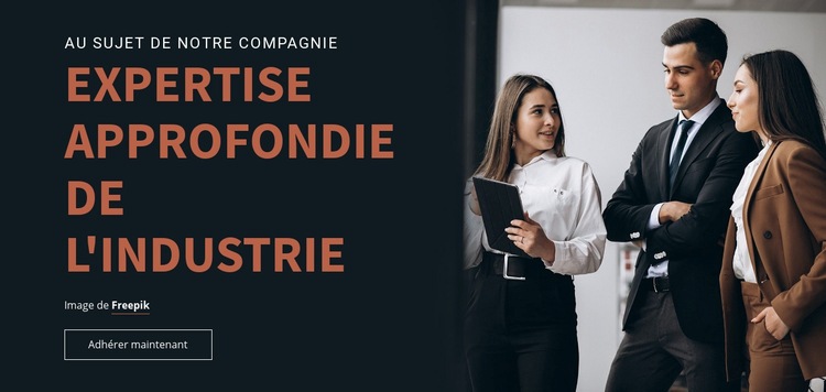 Expertise de l'industrie Conception de site Web