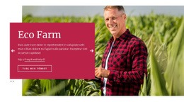 Eco Farm - Egyszerű Webhelysablon