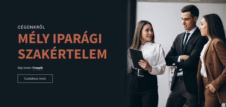 Ipari szakértelem Weboldal sablon