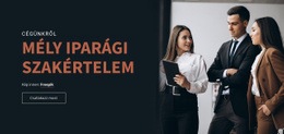 Ipari Szakértelem – WordPress Téma Funkció