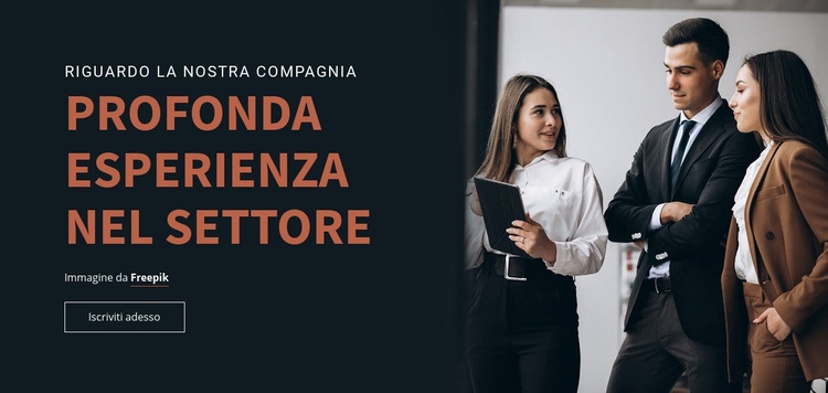 Competenza nel settore Modello CSS