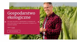 Projektant Stron Internetowych Dla Gospodarstwo Ekologiczne