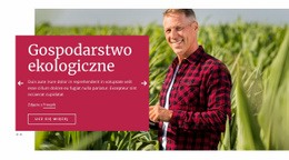 Gospodarstwo Ekologiczne - Kreatywna, Wielofunkcyjna Makieta Witryny Internetowej