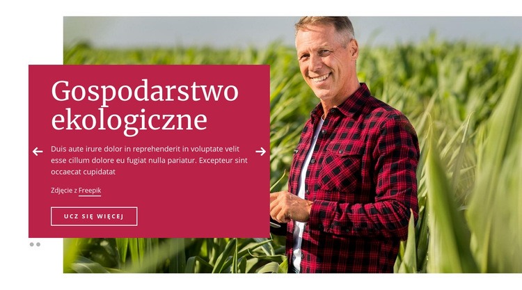 Gospodarstwo ekologiczne Motyw WordPress