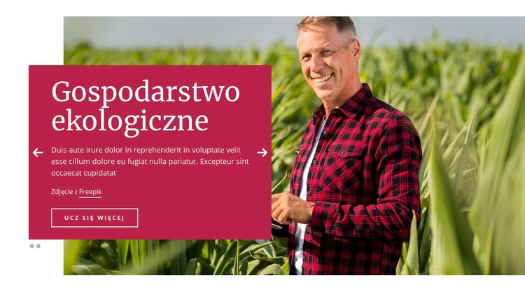 Gospodarstwo ekologiczne Szablon jednej strony