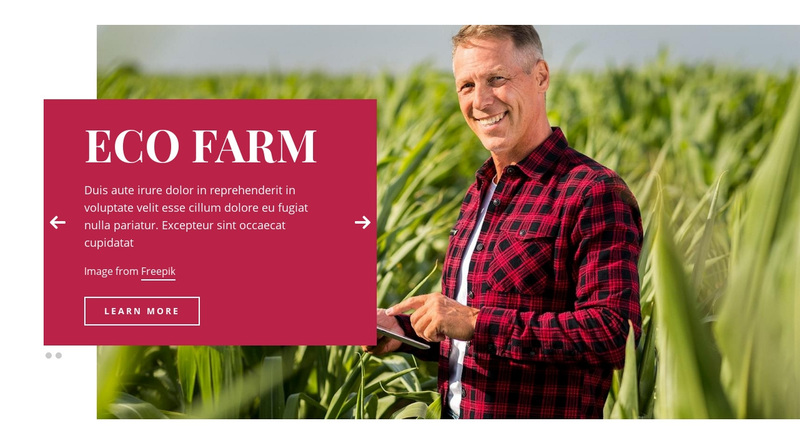 Eco Farm Squarespace Template Alternative