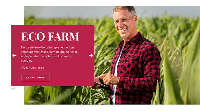 Eco Farm Wix Template Alternative