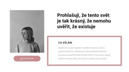 Moje Hlavní Úkoly – Profesionální Šablona Webu