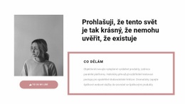 Moje Hlavní Úkoly – Krásné Téma WordPress