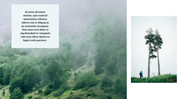 Life In The Forest - HTML And CSS Template