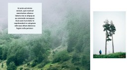 La Vita Nella Foresta - HTML Page Creator