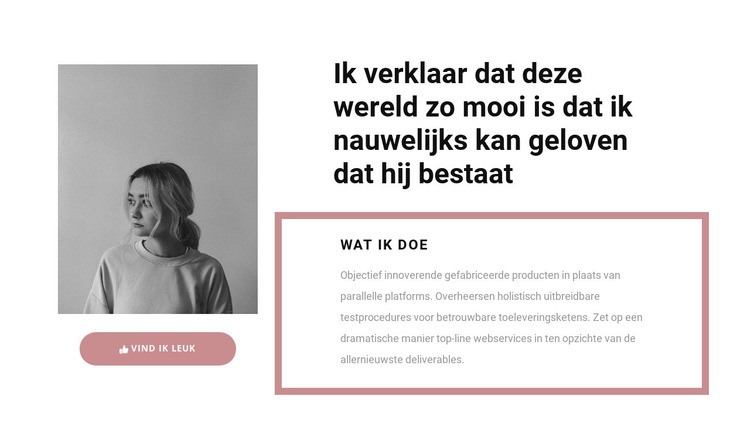 Mijn belangrijkste taken Website mockup