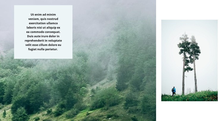 Life in the forest Squarespace Template Alternative