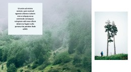 Ormanda Yaşam - Çevrimiçi Şablonlar