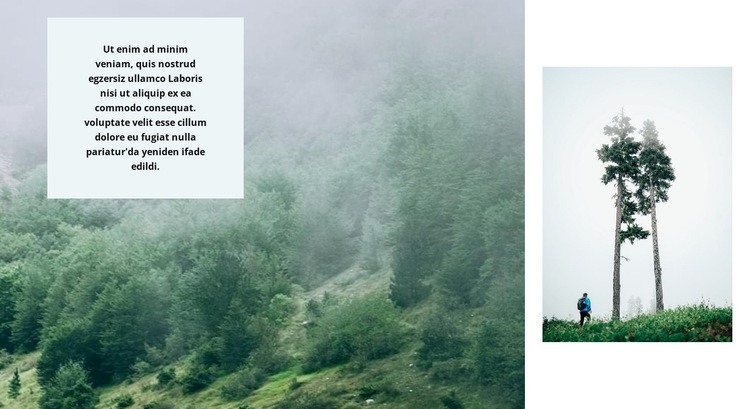 ormanda yaşam Web sitesi tasarımı