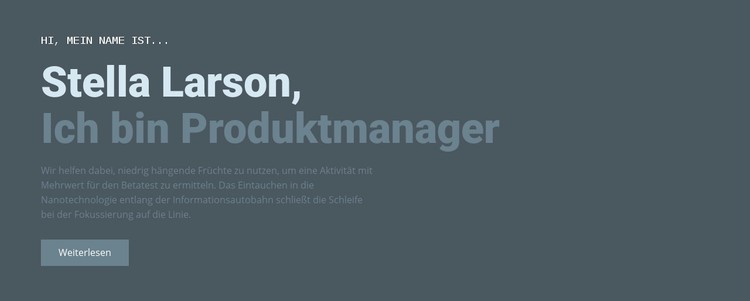 Über unseren Manager WordPress-Theme