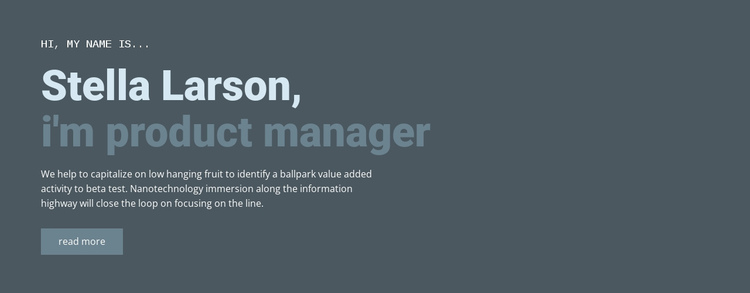 About our manager One Page Template