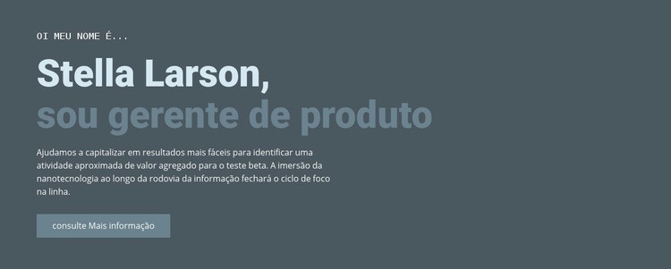 Sobre nosso gerente Landing Page