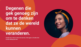 Over Stijlexpert - Responsief WordPress-Thema