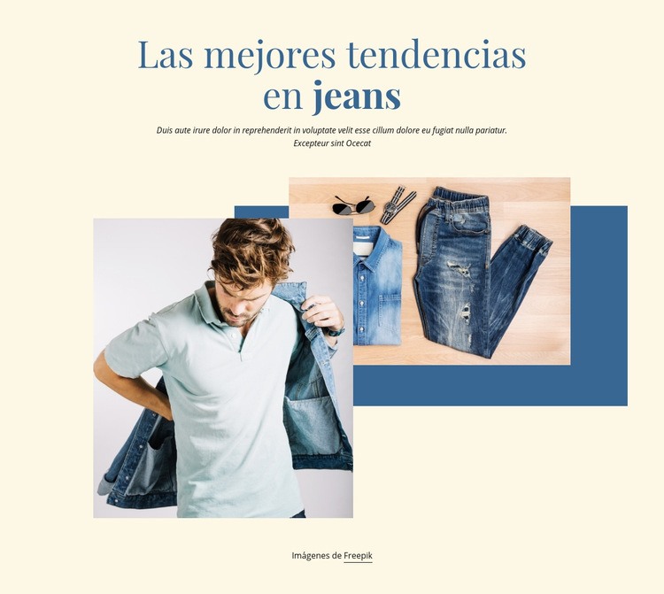 Las mejores tendencias en jeans Plantillas de creación de sitios web