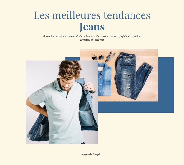 Les meilleures tendances de jeans Créateur de site Web HTML