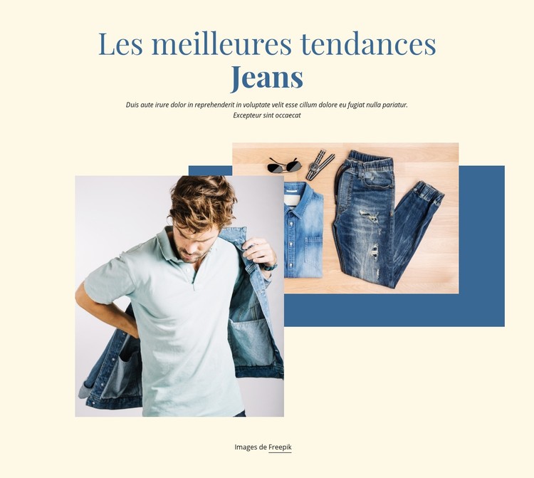 Les meilleures tendances de jeans Modèle CSS