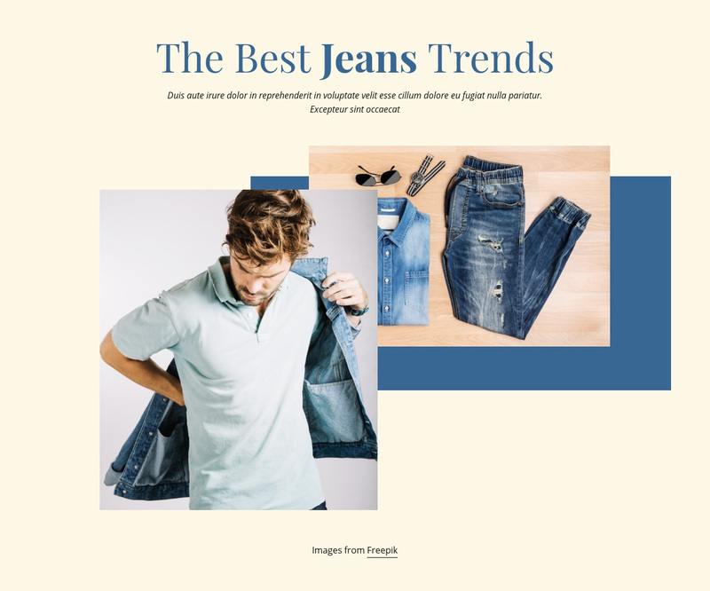 The Best Jeans Trends Web Page Design